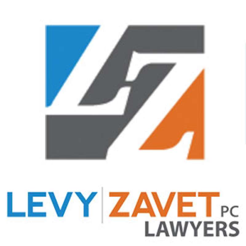 Levy Zavet lawyers