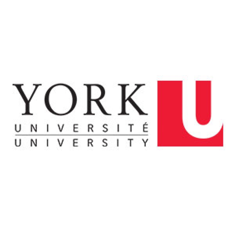 York University